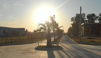 la-liebre-ficha-new