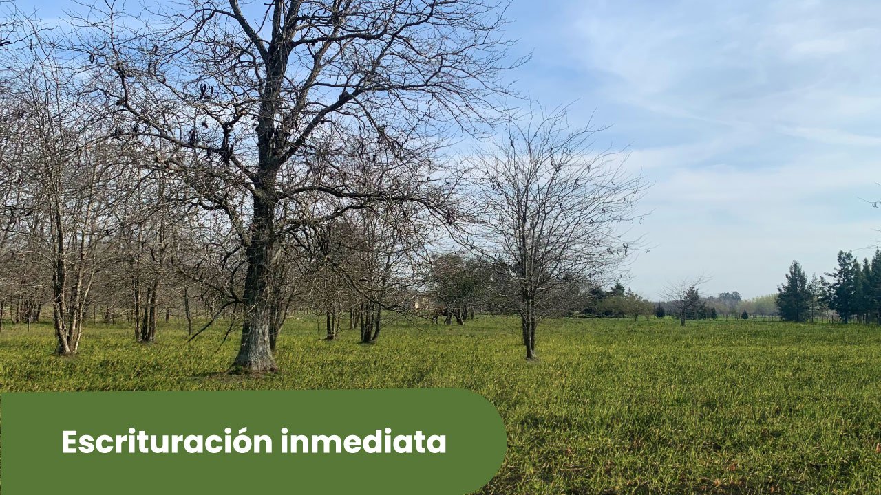 escrituracion-reserva